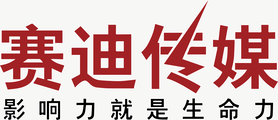赛迪传媒